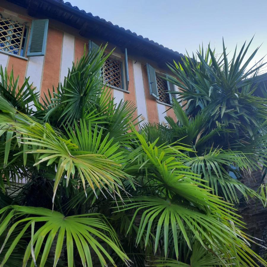 Segnavento -Rooms And Suites- Manta Exterior foto